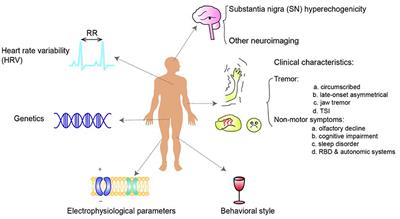 Prodromal Markers of Parkinson's Disease in Patients With Essential Tremor